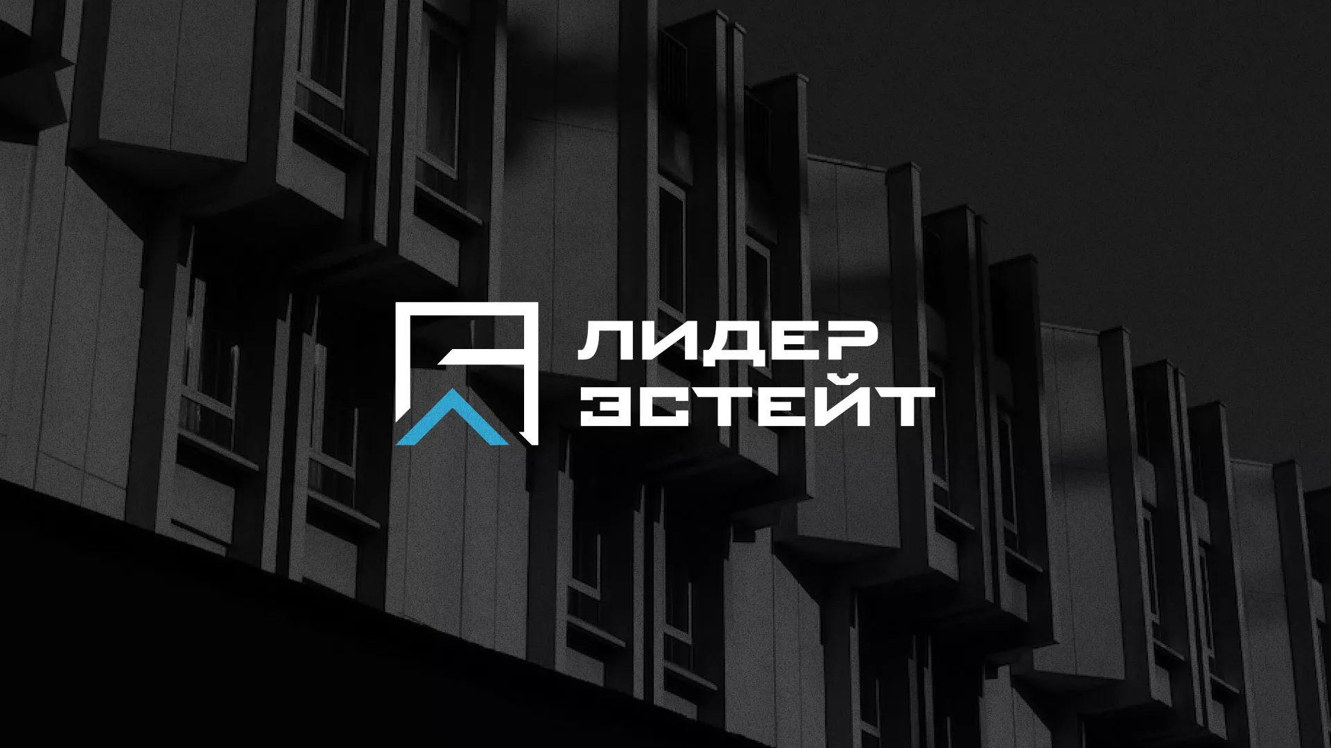 Разработка логотипа агентства недвижимости «Лидер Эстейт» в Багратионовске